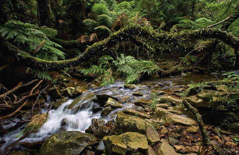 Budderoo National Park - Brisbane Tourism 0
