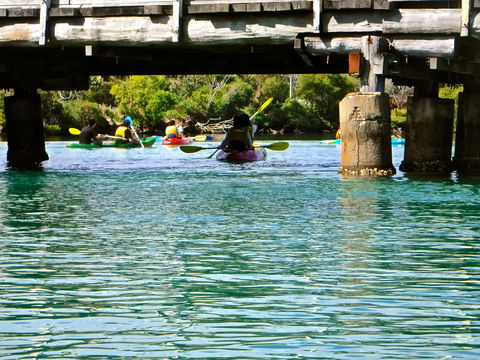 Byron Bay River Nature Kayak Tour - Tourism Brisbane 1