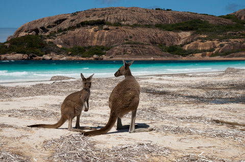 Cape Le Grand National Park - Tourism Brisbane 0