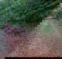 Cascade mountain bike trail - Tourism Brisbane