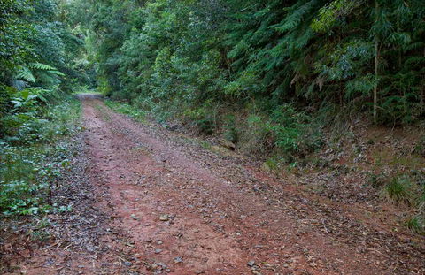Cascade Mountain Bike Trail - Tourism Brisbane 0