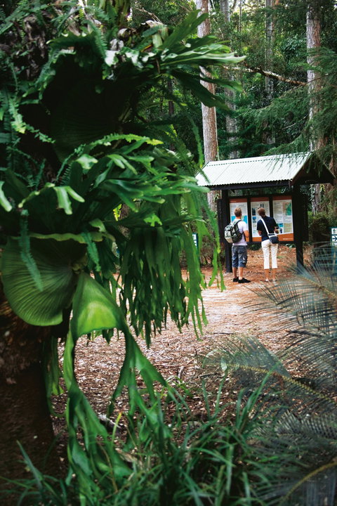 Central Station - Brisbane Tourism 1