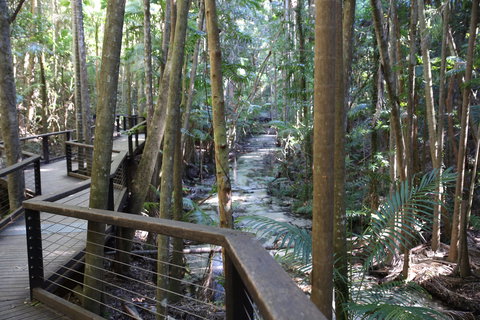 Central Station - Brisbane Tourism 2