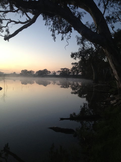 Cockatoo Lake Recreation Reserve - Tourism Brisbane 0