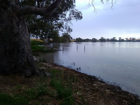 Cockatoo Lake Recreation Reserve - Tourism Brisbane 1