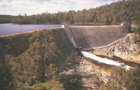 Collie - Brisbane Tourism 0
