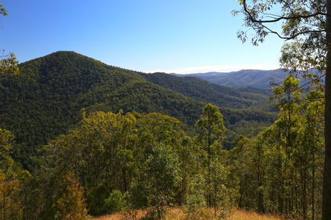 Conondale National Park - Brisbane Tourism 0