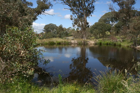 Cooleman Ridge - Tourism Brisbane 0
