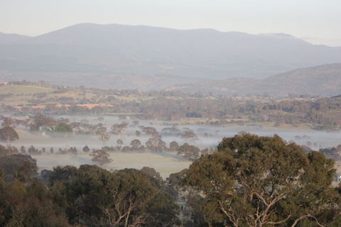Cooleman Ridge - Tourism Brisbane 2