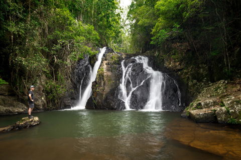 Dinner Falls - Tourism Brisbane 0