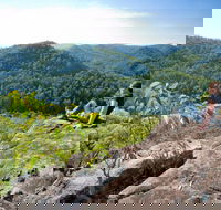 Dubbo Gully Loop Trail - Brisbane Tourism