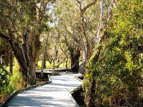 Eagleby Wetlands - Tourism Brisbane 1