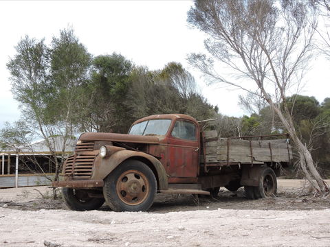 Emu Ridge Eucalyptus Pty Ltd - Tourism Brisbane 2