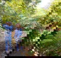Endeavour Fern Gully Walks - Tourism Brisbane