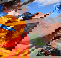 Farm Visit  Dungog - Brisbane Tourism