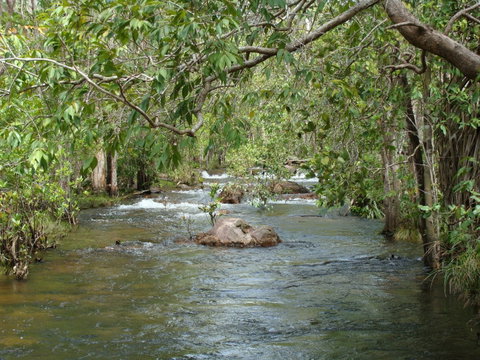 Florence Creek Walk - Tourism Brisbane 0