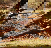 Freycinet Paintball and Campground - Tourism Brisbane