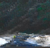 Gardners Falls - Brisbane Tourism