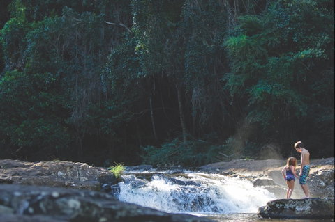 Gardners Falls - Tourism Brisbane 0