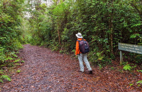 Gibraltar-Washpool World Heritage Walk - Tourism Brisbane 0