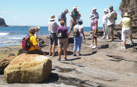 Gondwana Coast Fossil Walk - Tourism Brisbane 0