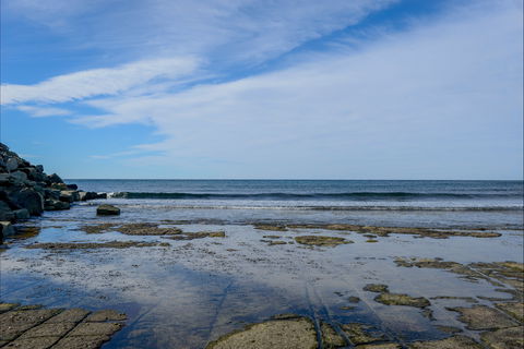 Gondwana Coast Fossil Walk - Tourism Brisbane 1