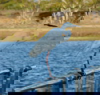 Groper Creek - Tourism Brisbane