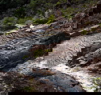 Halls Falls - Tourism Brisbane