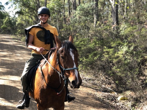 Horse Riding Tasmania - Tourism Brisbane 2