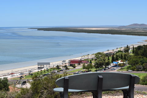 Hummock Hill Lookout - Brisbane Tourism 2