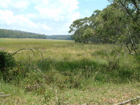 Hume And Hovell Walking Track - Tourism Brisbane 2