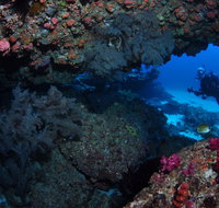 Hutchinson Shoal Dive Site - Tourism Brisbane