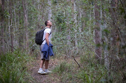 Ironbark Ridge And Spotted Gum Walking Trails - Brisbane Tourism 2