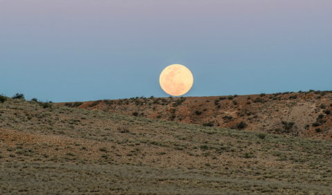 Jump-Up Loop Road Drive - Brisbane Tourism 0