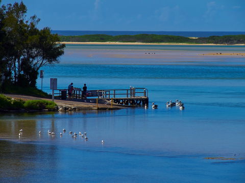 Kayaking Tuross Lake - Brisbane 4u 1