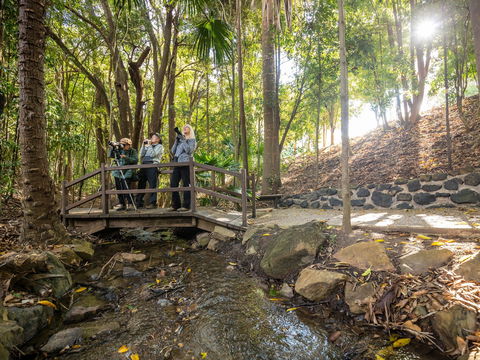 Kholo Gardens Trails - Brisbane Tourism 1