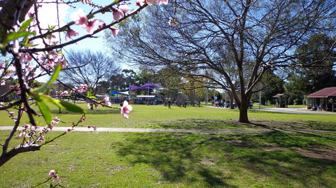 Koshigaya Park - Tourism Brisbane 0