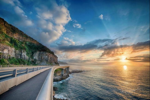 Kramer Photography Rainforest Gallery - Tourism Brisbane 0