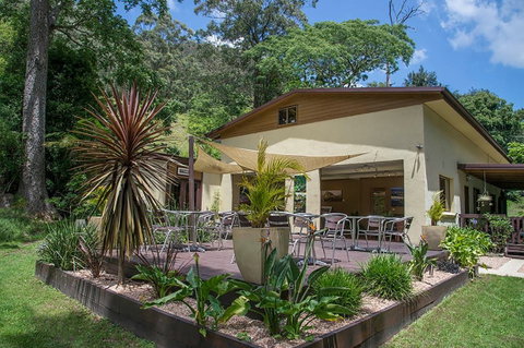 Kramer Photography Rainforest Gallery - Tourism Brisbane 2