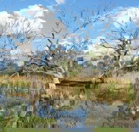 Lagoon Creek - Tourism Brisbane