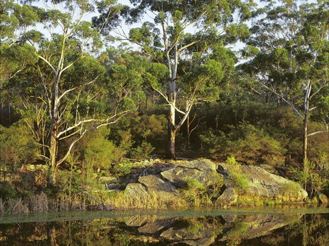 Lake Parramatta Reserve And Recreation Area - Brisbane Tourism 1
