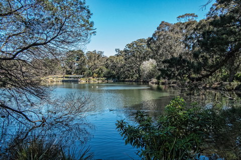 Lake Alexandra Reserve - Brisbane Tourism 1