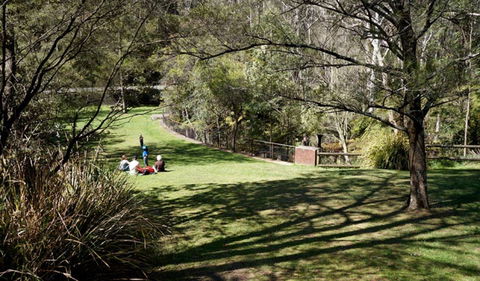 Leura Cascades - Brisbane Tourism 0