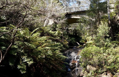 Leura Cascades - Brisbane Tourism 2