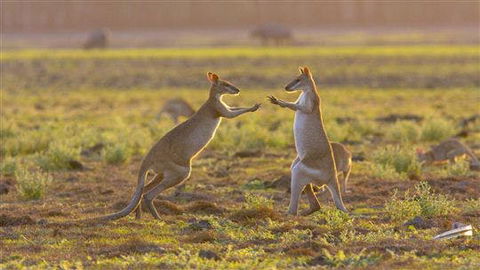 Mary River Area - Brisbane Tourism 0