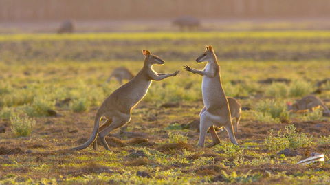 Mary River Area - Brisbane Tourism 1