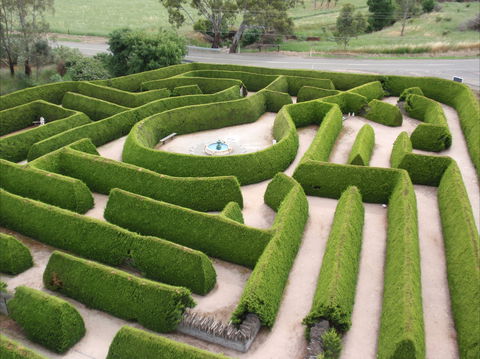 Mintaro Maze - Tourism Brisbane 0