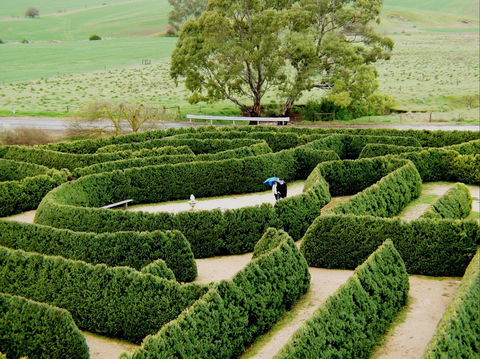 Mintaro Maze - Tourism Brisbane 1