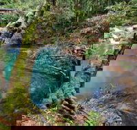 Mobong walking track - Tourism Brisbane