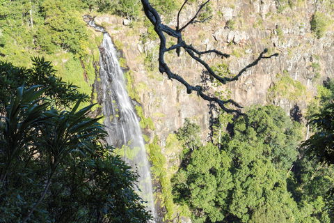 Morans Falls Track, Lamington National Park - Tourism Brisbane 0